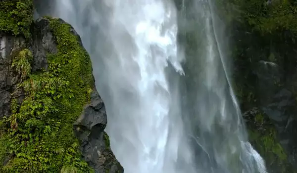 Stirling Falls in Milford Sound