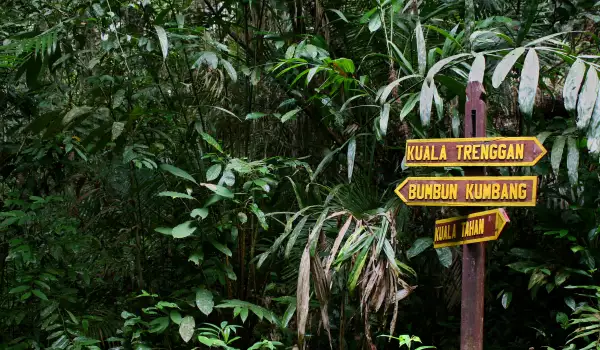 Taman Negara National park