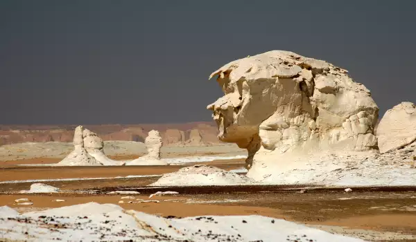 The White Desert