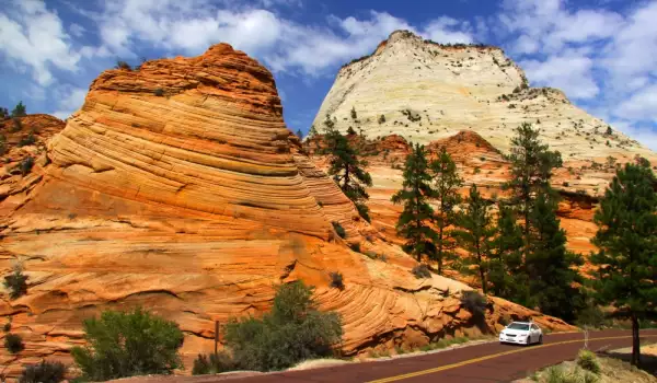 Zion National Park