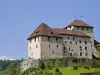 Schattenburg Castle