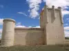 Torrelbaton Castle