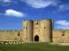 Aigues Castle