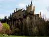 Castle Alcazar of Segovia