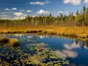 Algonquin Natural Park