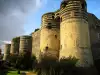 Angers Castle