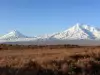 Mount Ararat