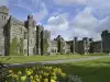 Ashford Castle