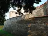 Baba Vida Fortress