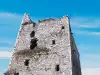 Ballinacarriga Castle