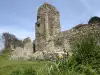 Berkhamsted Castle