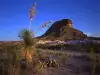 Big Bend National Park