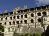 Blois Castle