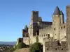 Carcassonne castle