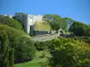 Carisbrooke Castle