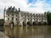 Chenonceau Castle