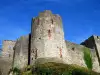 Chepstow Castle