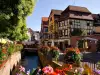 Colmar