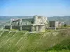 Crac de Chevaliers