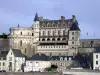 Amboise Castle