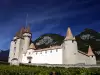 Aigle Castle