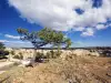 El Morro National Monument