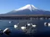 Mount Fuji