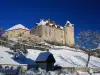 Gruyere Castle