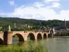 Neckar River