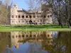 Januv Hrad Castle - Johns Castle