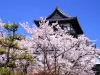 Inuyama Castle