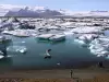 Jokulsarlon Lake