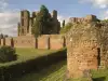 Kenilworth Castle