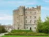 Kilkea Castle