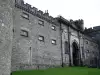 Kilkenny Castle