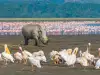 Lake Nakuru National Park