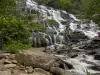 Mae Ya Waterfall