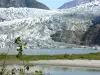 Mendenhall Glacier