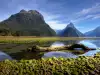 Milford Sound