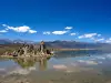 Mono Lake