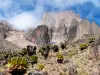 Mount Kenya