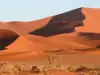 Namibian Desert