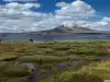 Lauca National Park