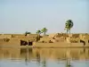 Niger River