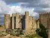 Obidos Castle