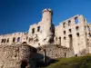 Ogrodzieniec Castle