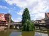 Pegnitz river