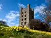 Penrhyn Castle