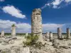 Varna Stone Forest - Pobiti Kamani