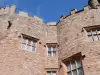 Powis Castle